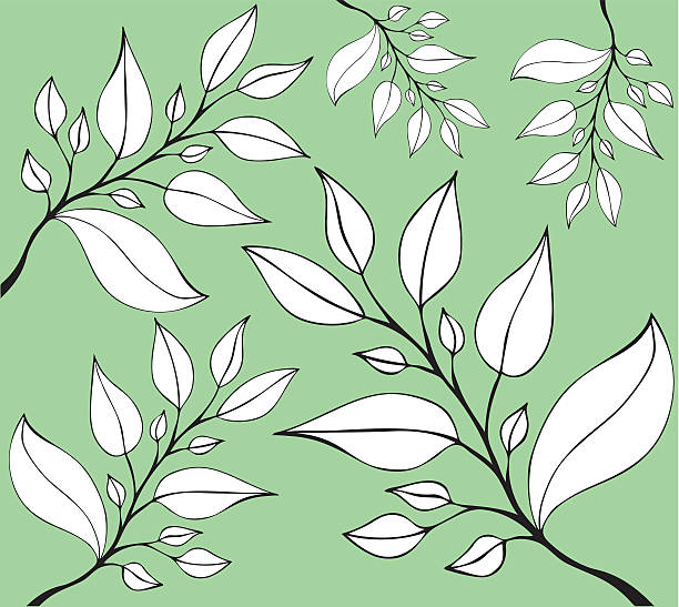 vector leaf vector art illustration