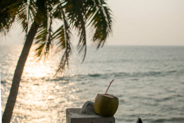 istock Fresh coconut water at evening beach 1027235394