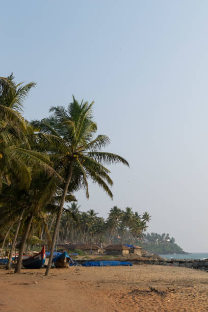 istock Varkala beach view with palm trees in India 1027238606