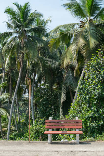 istock A railway station, tropical viewing from Indian train 1027242248