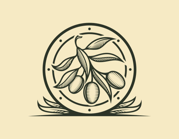 ikona gałązki oliwi w stylizowanej ramce z liśćmi - cold pressed stock illustrations