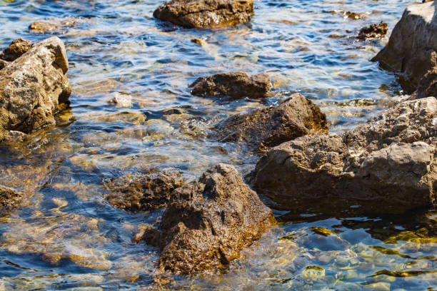istock Adriatic seashore, Krk, Croatia 1027265878