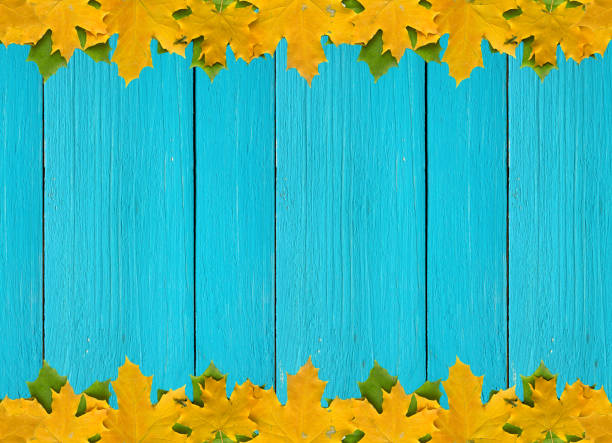 Autumn leaves on turquoise wooden background with empty space, border design panoramic banner