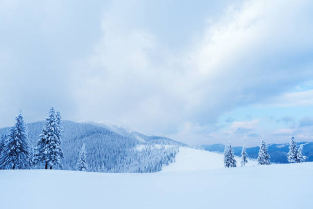 istock Christmas landscape with spruce in the mountains 1027279882
