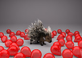 Porcupine Surrounded by Balloons