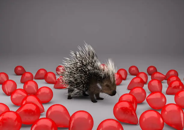 High resolution digital image of a porcupine surrounded by red balloons. This image is intended to illustrate concepts such as being untouchable, fearfulness, rejection, being unlovable, nervousness, loneliness, displacement, standing out from the crowd, and many more.