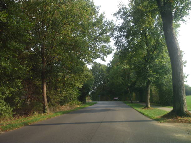 istock Superb typical German summer village road 1027283870