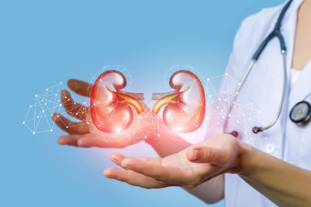 istock Nurse supports the person's kidney . 1027287200