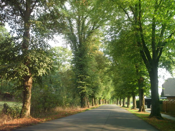 istock Scenic fairy tale summer landscape in Germany. 1027295596