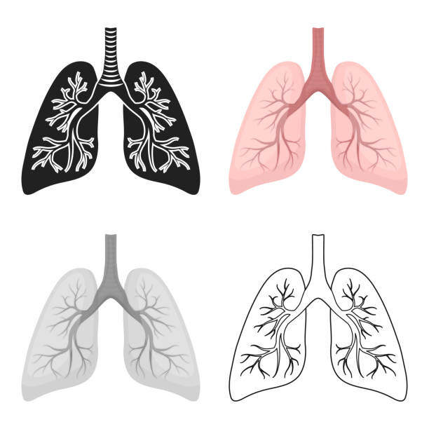 81 Tree Lungs Cartoon Stock Photos, Pictures & Royalty-Free Images - iStock