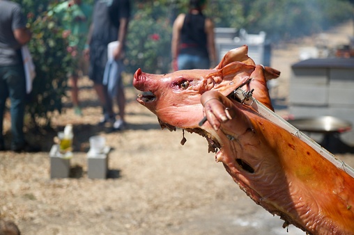 Whole pig being roasted on an open fire pit.