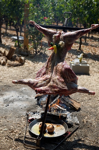 A whole pig being roasted on an open fire.