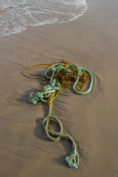 istock plastic nylon rope pollution discarded on the beach 1027314234