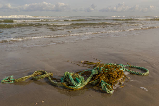 Ocean Pollution Ropes 100+ Plastic Tas Stock Photos, Pictures & Royalty-Free Images - iStock