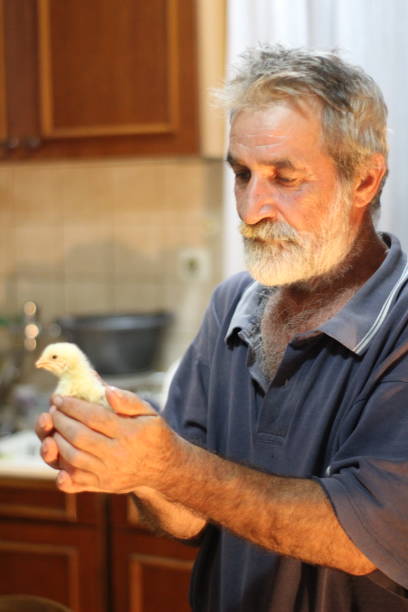 istock man and little chicken 1027314750