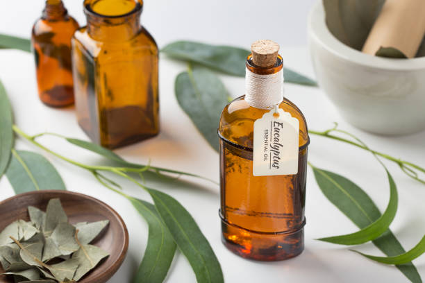eucalyptus essential oil - aromatic oil imagens e fotografias de stock