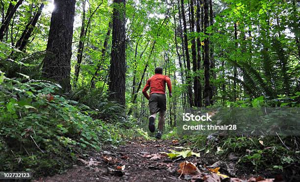 추적 실행 달리기에 대한 스톡 사진 및 기타 이미지 - 달리기, 숲, 오솔길