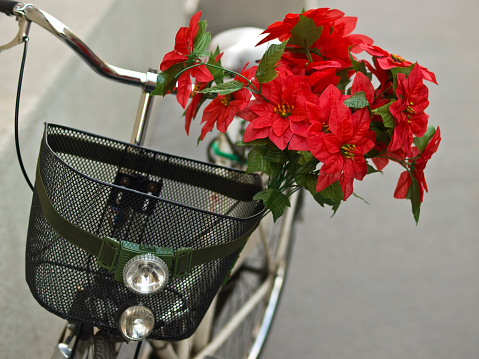 Recycle old bicycle for flower planter