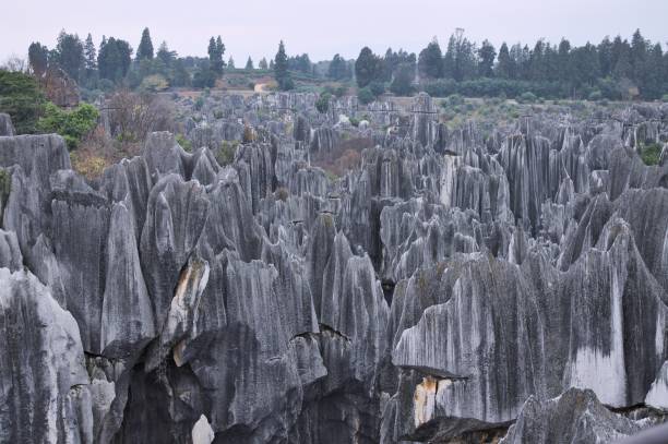 floresta de pedra - kunming (shilin, yunnan, china) - the stone forest - fotografias e filmes do acervo