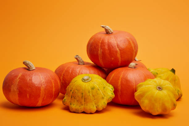 istock pile of fresh raw ripe pumpkins on orange background 1027332408