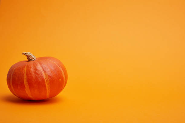 istock single whole ripe pumpkin on orange background 1027332434