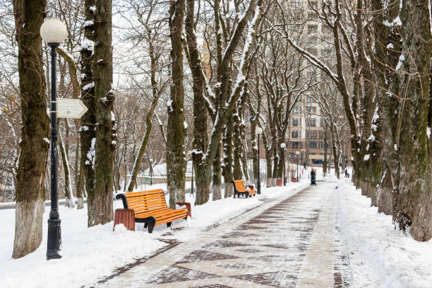 istock Empty benches covered with snow in winter park 1027342358