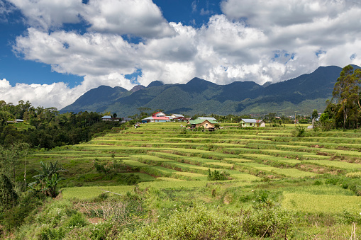 Terraza de arroz y Poco Mandasawu de la montaña photo
