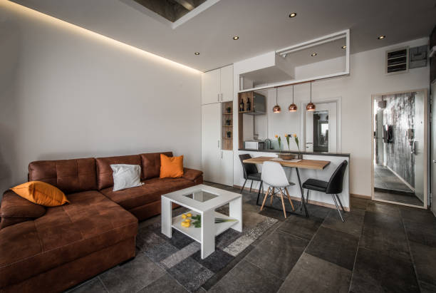 istock Interior design of modern living room interior with sofa 1027350568