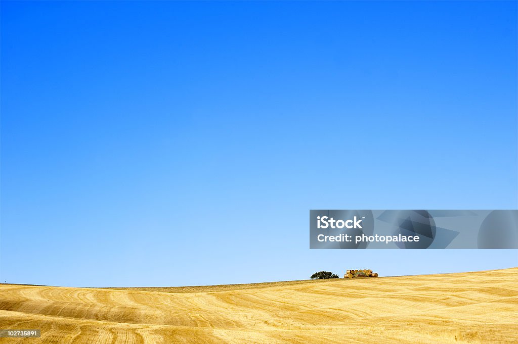 Toscana país - Royalty-free Amarelo Foto de stock