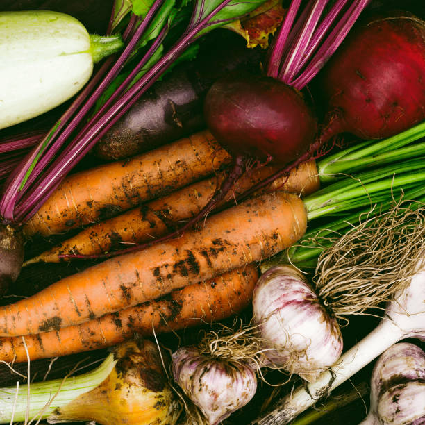 istock Crop of Fresh organic vegetables 1027361834