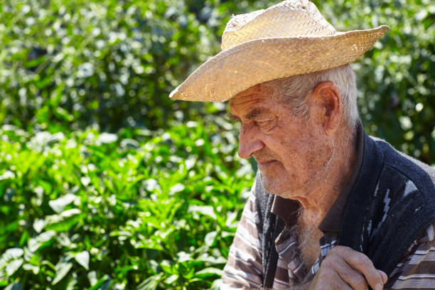 istock Thoughtful senior male farmer with a straw hat 1027364880
