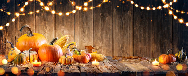 thanksgiving avec citrouilles et épi de maïs sur la table en bois - color image thanksgiving photography harvest festival photos et images de collection