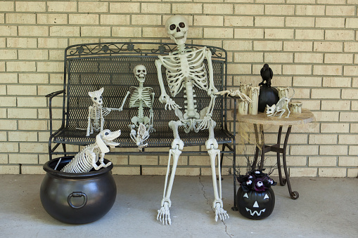 Halloween skeletons and decorations on a porch bench.