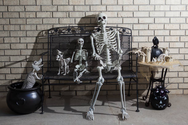 istock Group of Halloween skeletons with shadows 1027372142