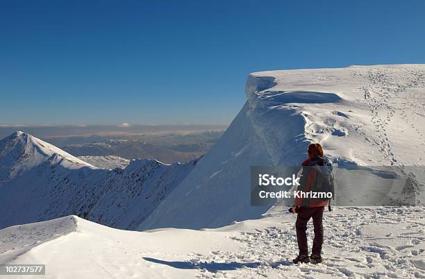 Mountaineer Sulla Vertice Delle Nevi - Fotografie stock e altre immagini di Helvellyn - Helvellyn, Neve, Regione dei laghi - Inghilterra