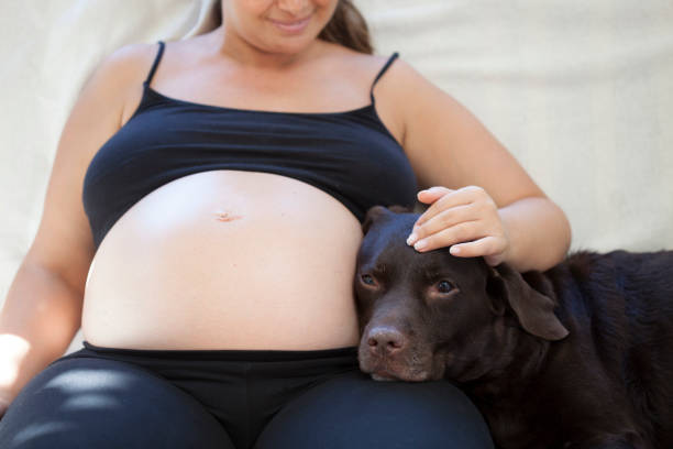 istock pregnant woman and her dog 1027385488