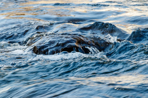 close up of fast flowing stream in the morning