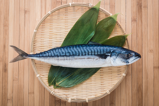 isolated raw mackerel