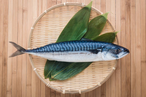 isolated raw mackerel isolated raw mackerel mackerel stock pictures, royalty-free photos & images