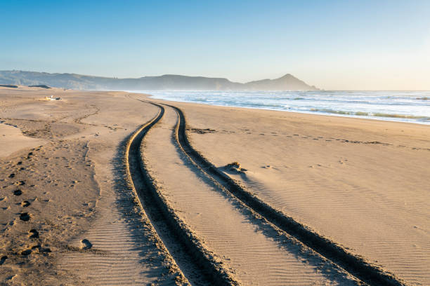 Photo of A 4WD car track in a wild beach sand going towards an endless infinite horizon at the Chilean coastline in Puertecillo beach, an amazing place for visiting and having a wonderful day, Chile