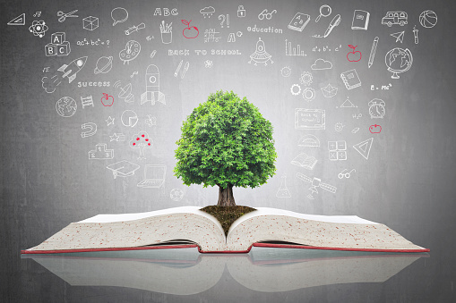 Árbol del conocimiento, en libro de texto abierto con doodle por concepto de inversión y éxito educativo photo