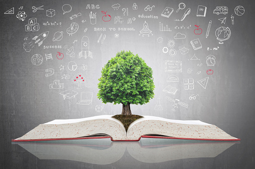 Tree of knowledge growing on open textbook with doodle for educational investment and success concept