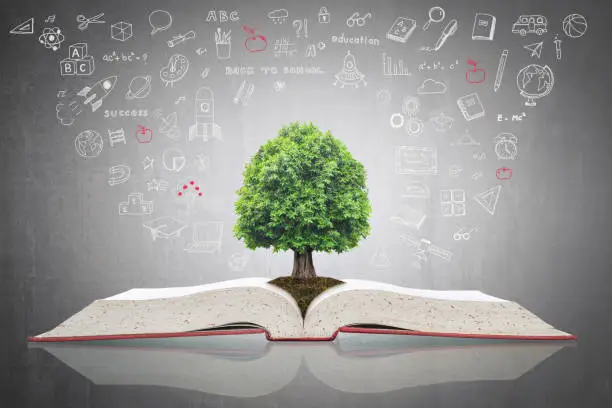 Photo of Tree of knowledge growing on open textbook with doodle for educational investment and success concept