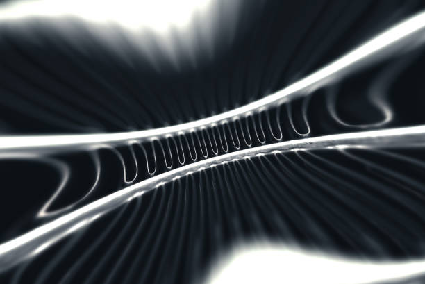 istock Diagonal metal structured surface in grayscale. Steel texture. Serpentine with copy space. Monochrome technology background close up. 1027410454