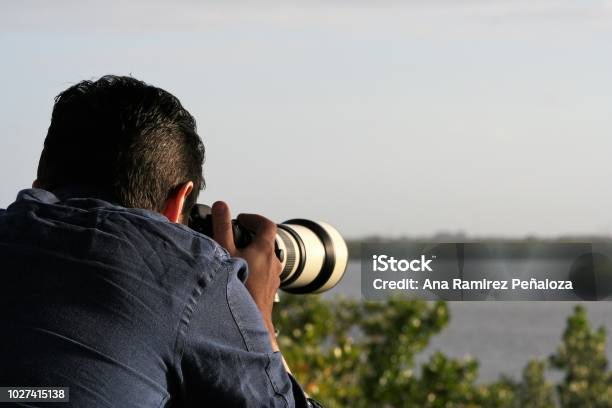 Trovare Il Momento Giusto - Fotografie stock e altre immagini di Osservare gli uccelli - Osservare gli uccelli, Ambientazione esterna, Bellezza naturale