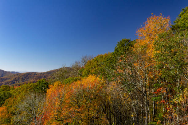 istock View of bright autumn foliage on mountains 1027424852