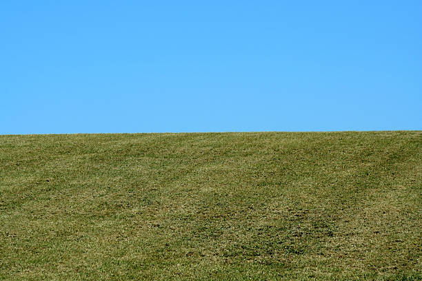 istock Green field and blue sky 102742650