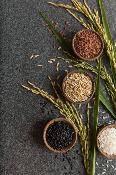 istock Variation of bowls of different rice with rice paddy stem 1027427926