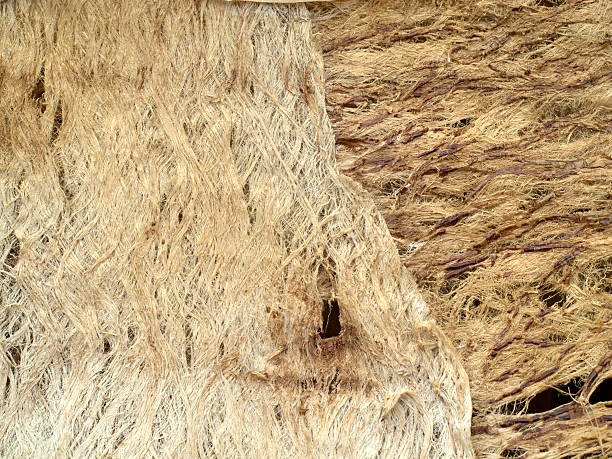 istock Texture of natural fiber 102743008
