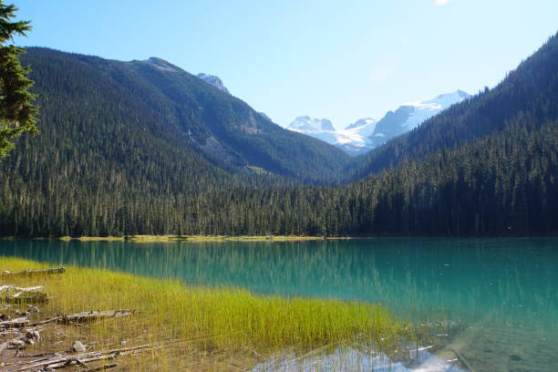 istock Lower Joffre Lake, Canada 1027430556